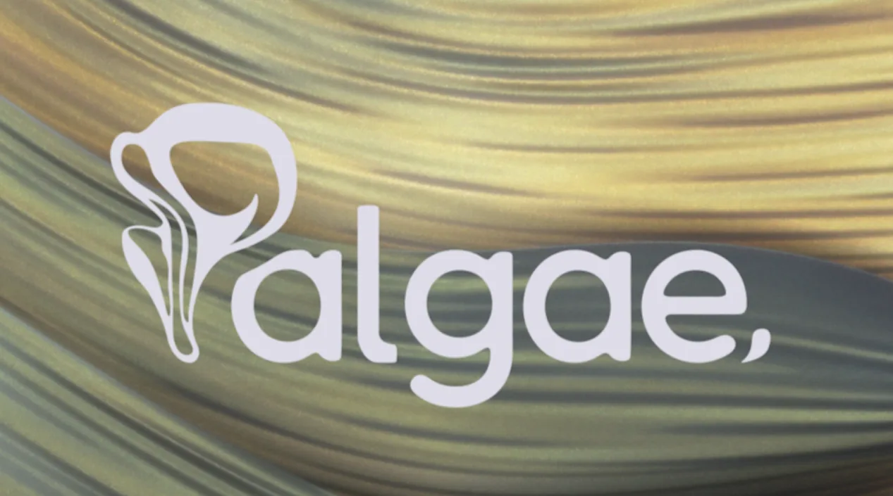Palgae kapak