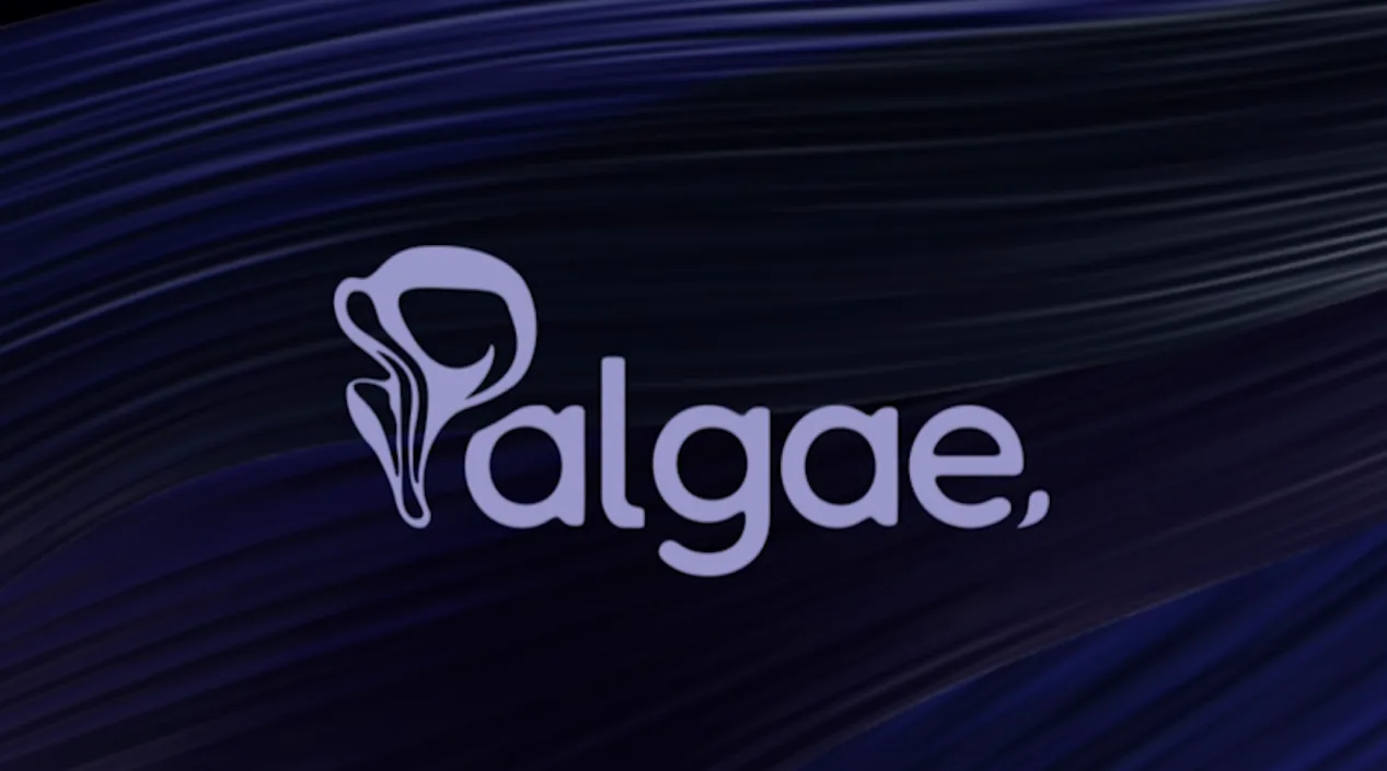 Palgae kapak