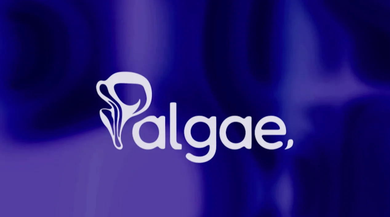 Palgae kapak