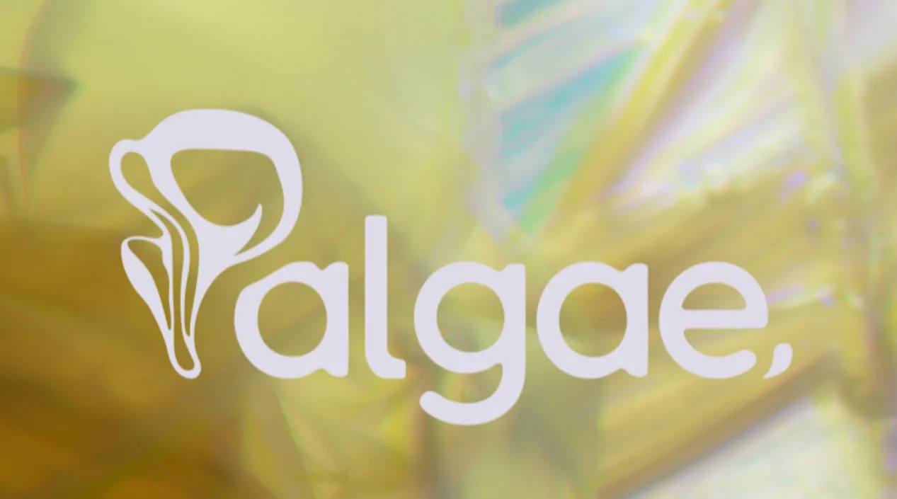 Palgae kapak