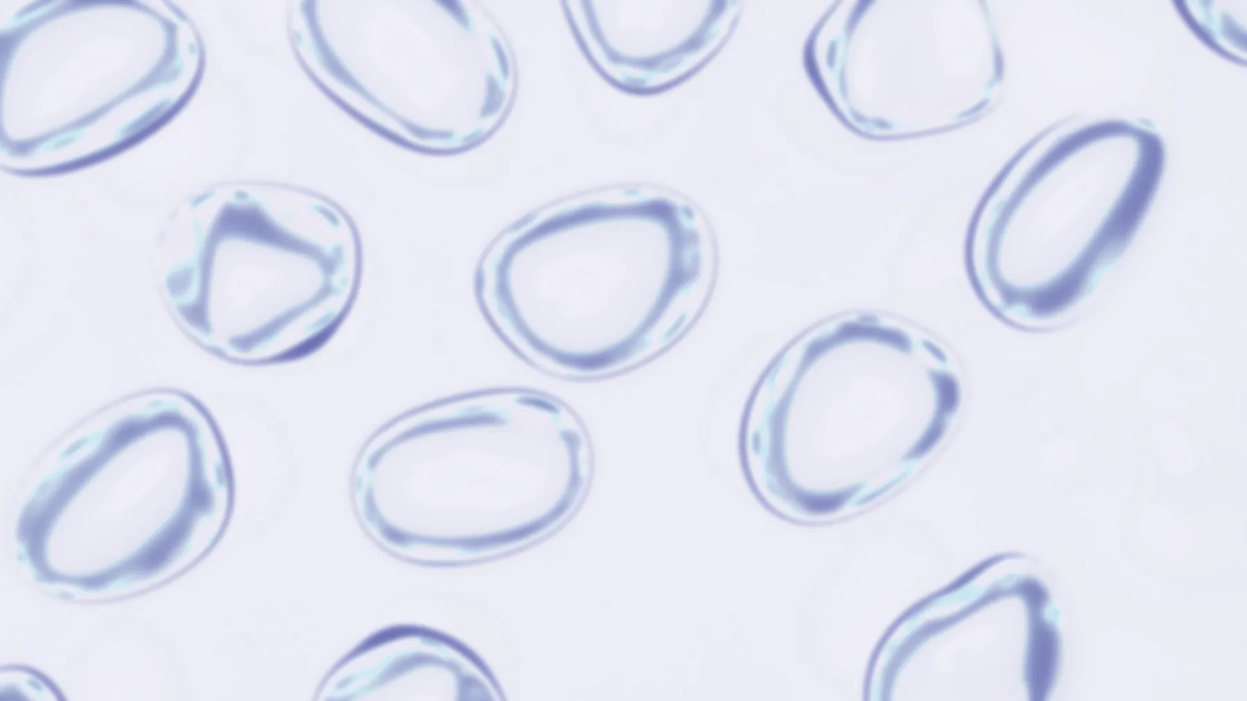 Palgae materyal 1