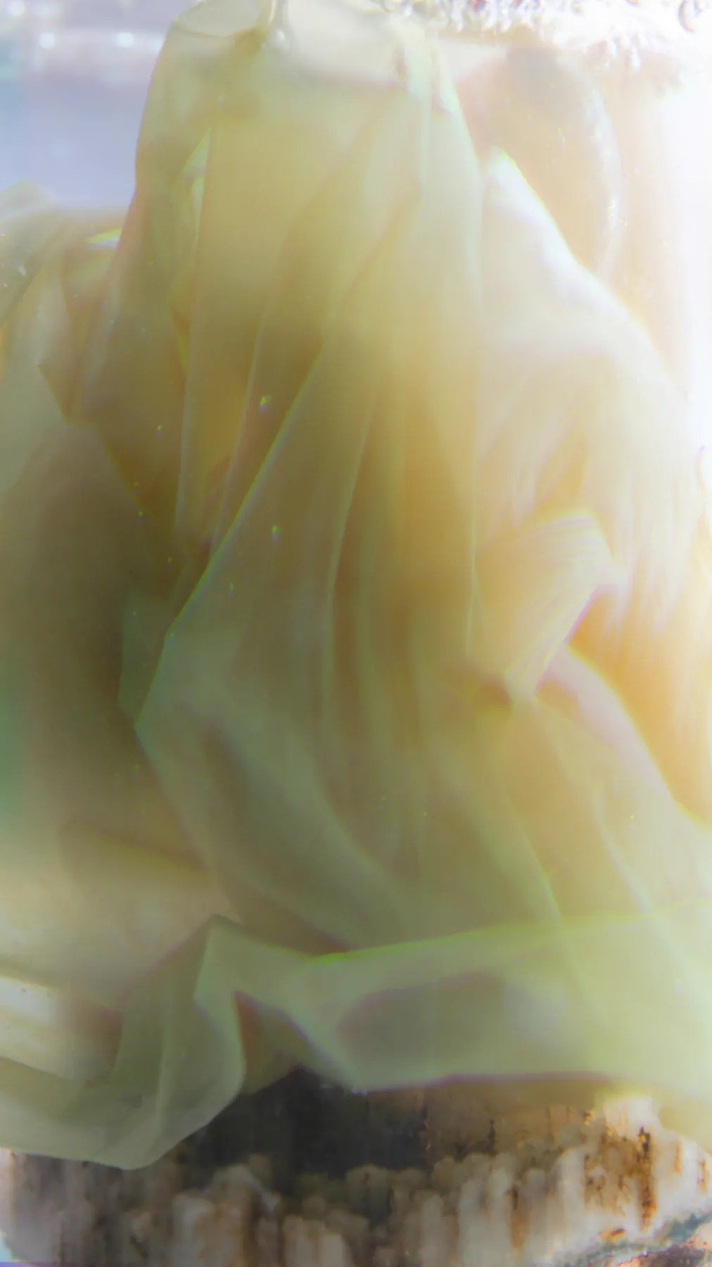 Palgae materyal 4