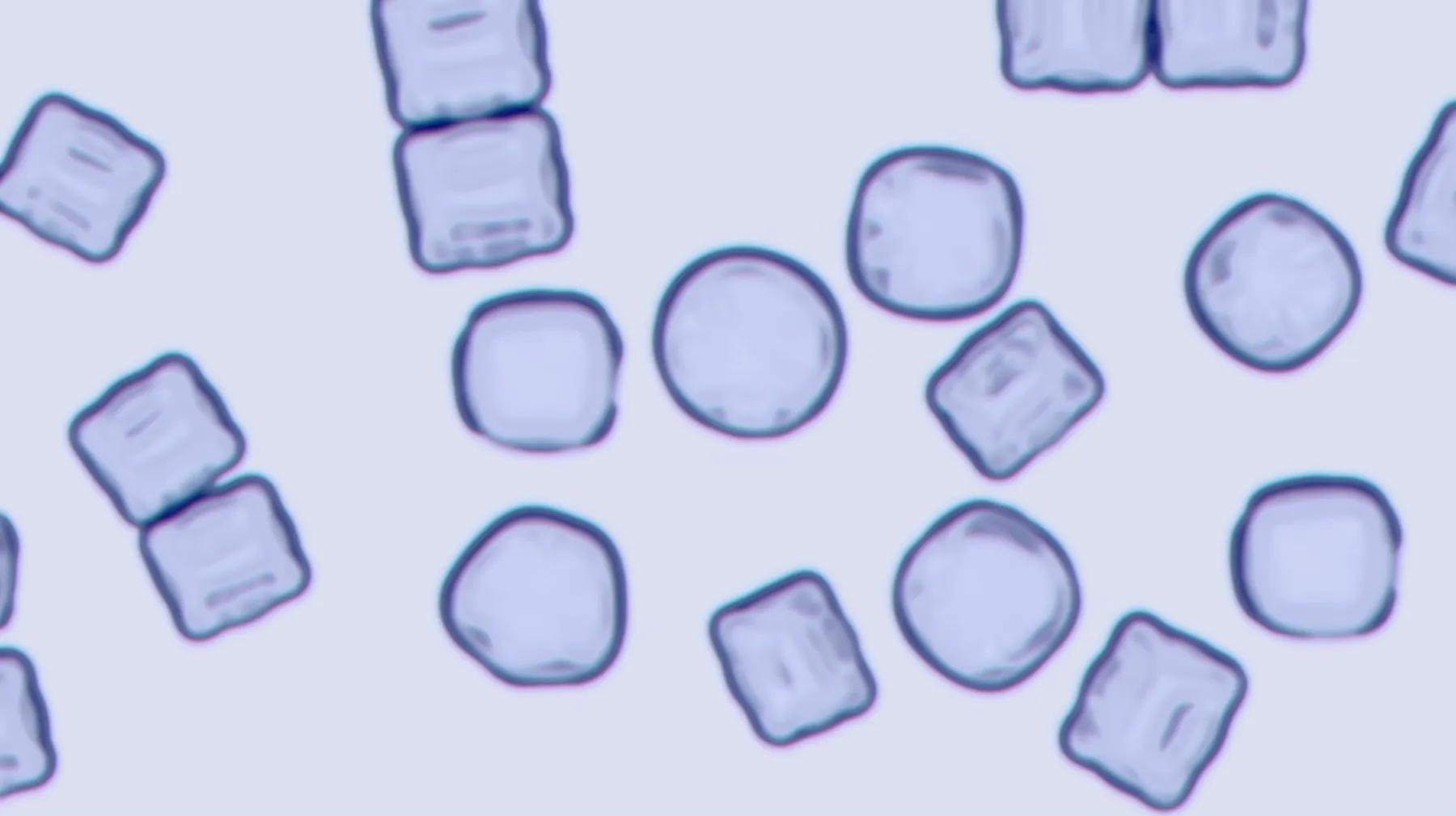 Palgae materyal 9